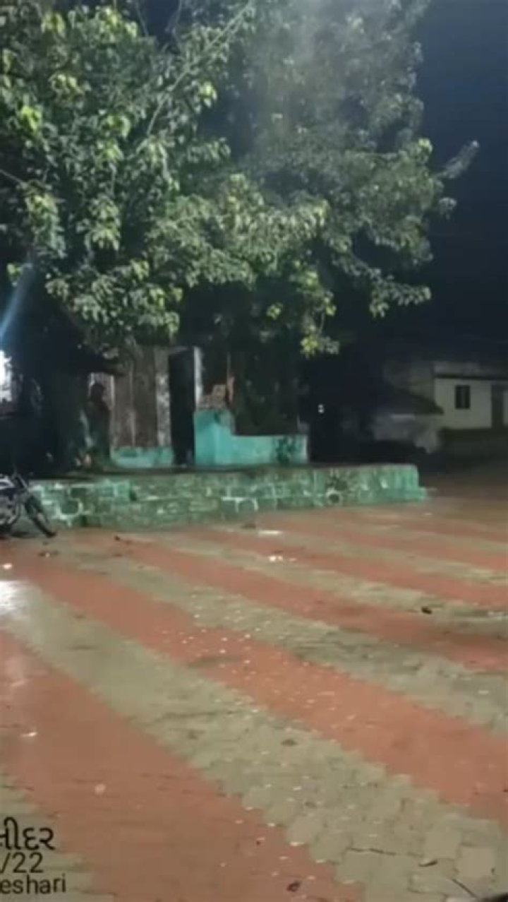 Whos in the neighbourhood?
