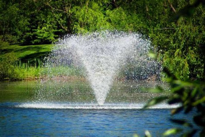 Why aerate a pond?