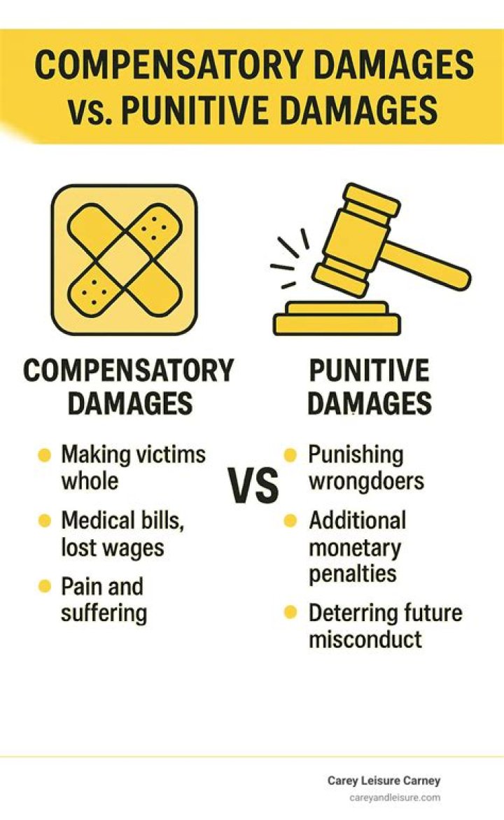 Why are punitive damages significant quizlet?