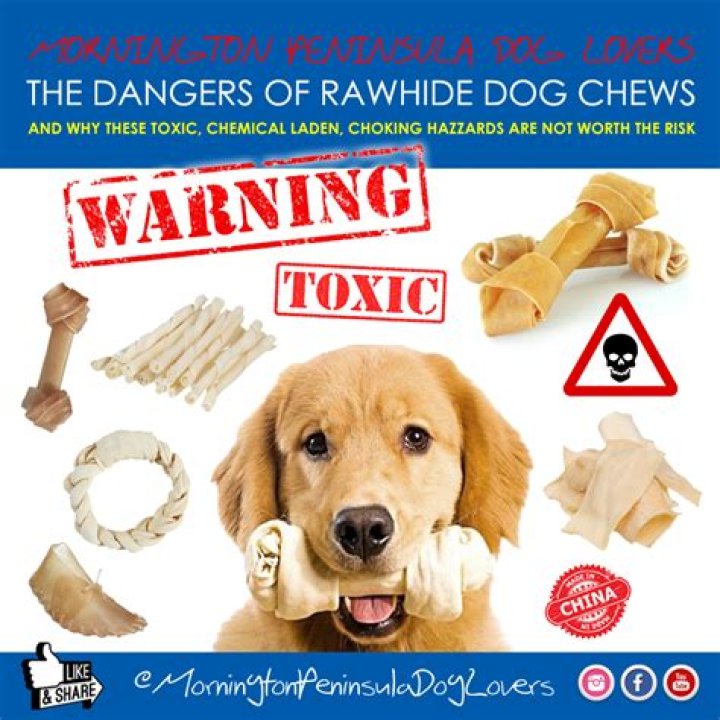 Why are rawhides bad for dogs?