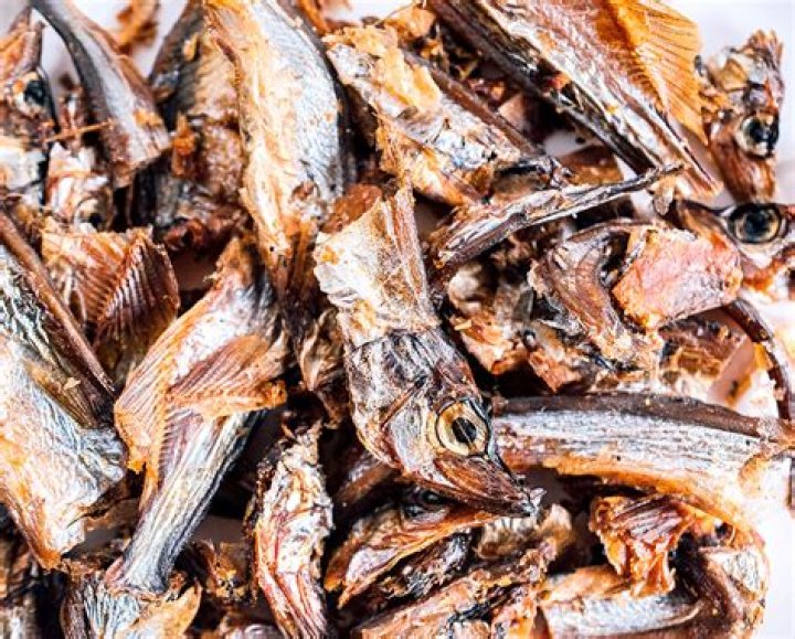 Why are sprats good for dogs?