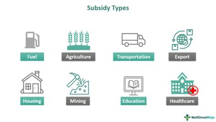 Why are subsidies used?