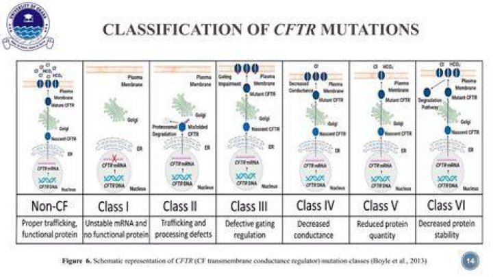 Why can't cf sufferers be together?