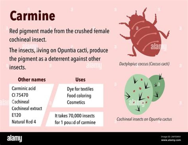 Why carmine is haram?