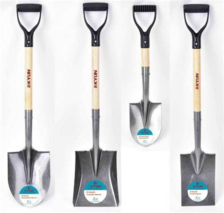 Why do i have shovel shaped incisors?