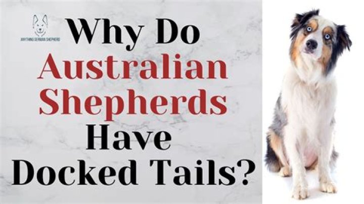 Why do they call english poms?