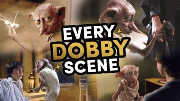 Why dobby warns harry potter?