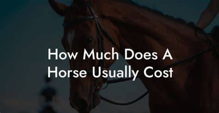 Why does a horse pace back and forth?