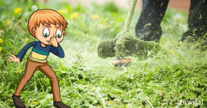 Why does grass smell when cut?