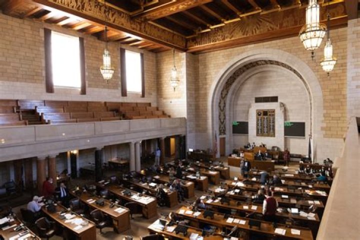Why does nebraska have a unicameral legislature?
