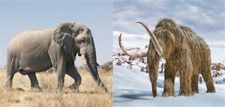 Why drunk elephant is the best?