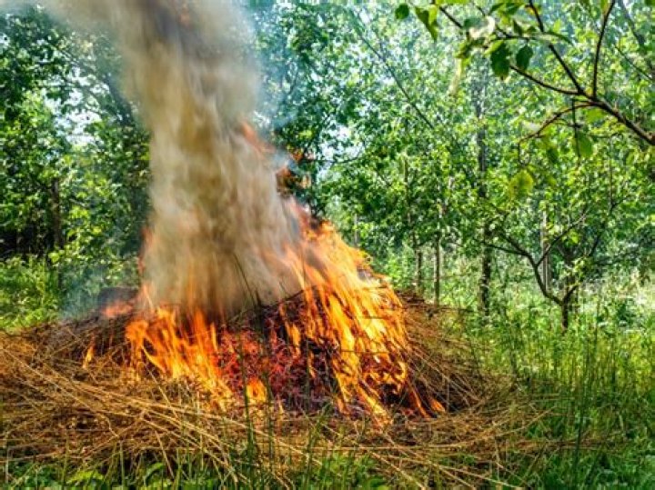 Why dry leaves catch fire?
