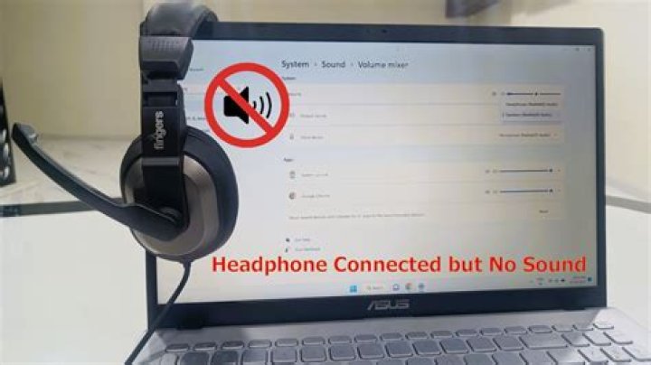 Why earphone cannot connect to laptop?
