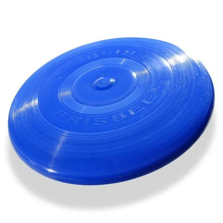 Why frisbee called frisbee?