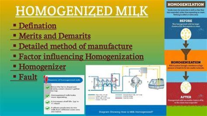 Why homogenised milk is bad?