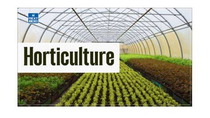 Why horticulture is an art and science?