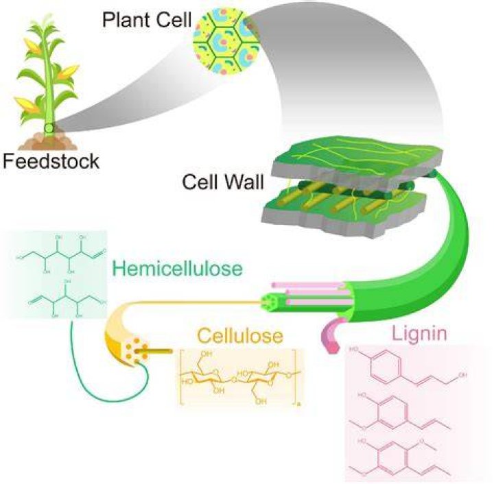 Why is cellulosic ethanol?