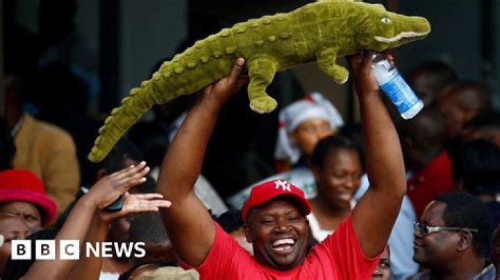 Why is emmerson mnangagwa called the crocodile?