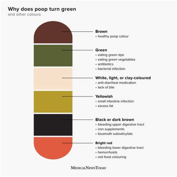 Why is my puke green?