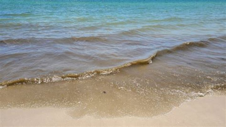 Why is myrtle beach water brown?