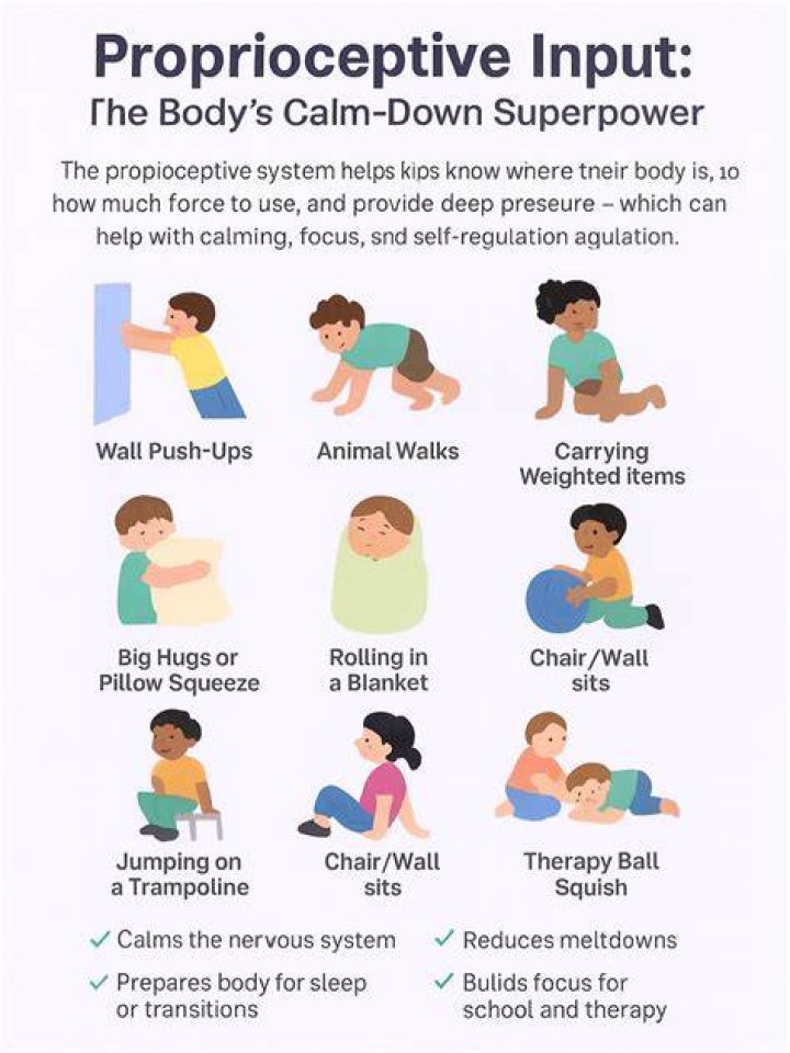 Why is proprioceptive input calming?