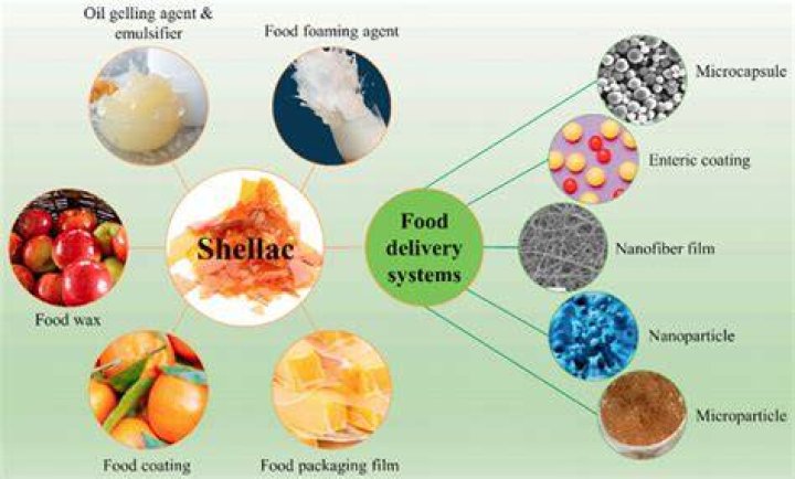 Why is shellac in food?