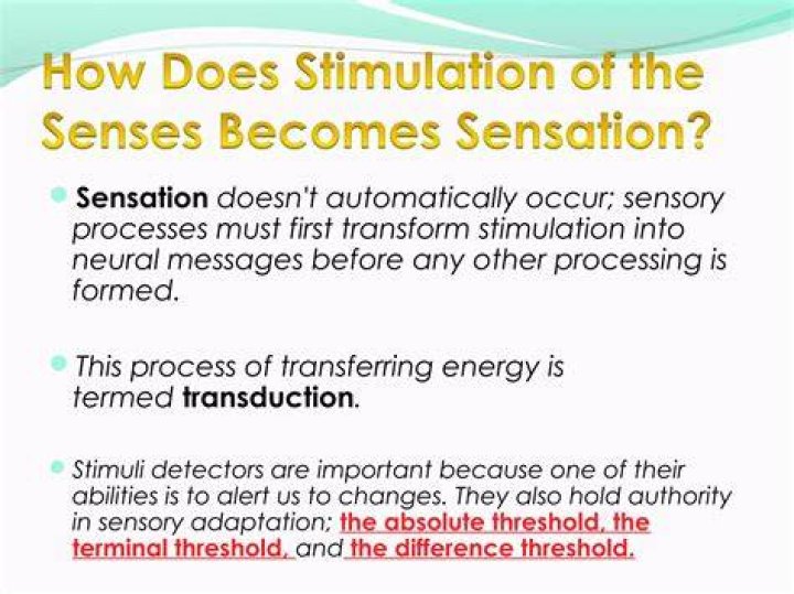 Why is transduction important to sensation?