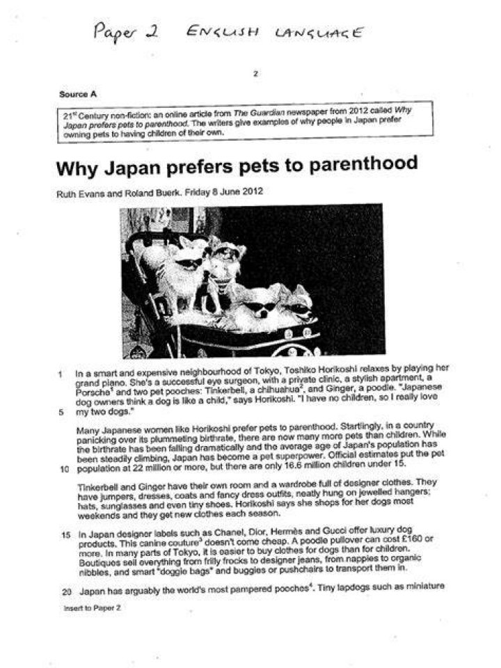 Why japan prefers pets to parenthood answers?