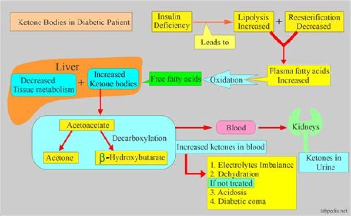 Why ketone bodies are formed in diabetic patients?