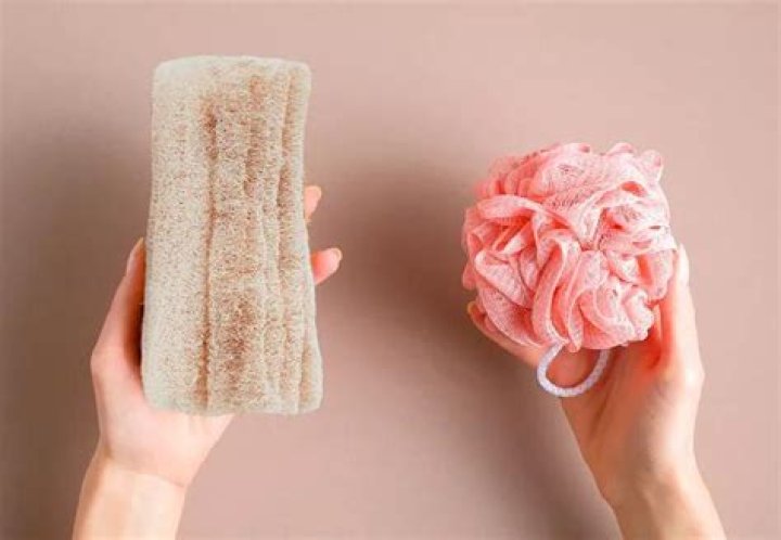 Why loofahs are bad?