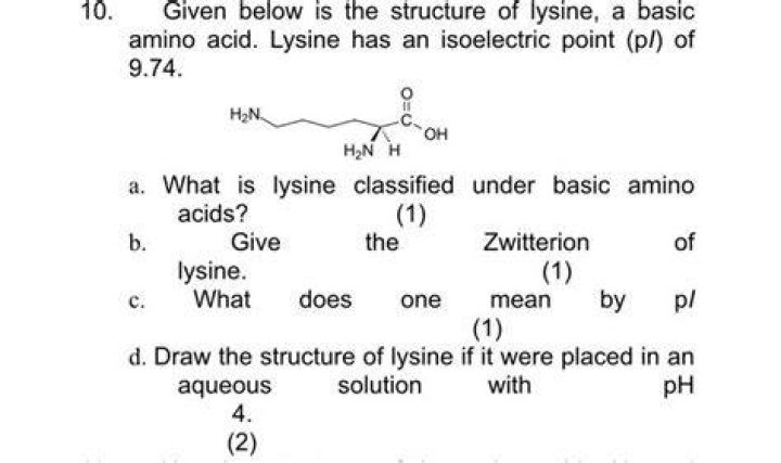 Why lysine is basic?