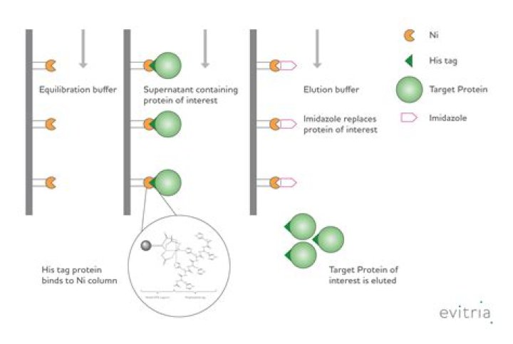 Why preheat elution buffer?