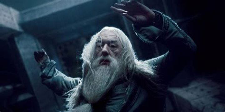Why severus snape killed dumbledore?