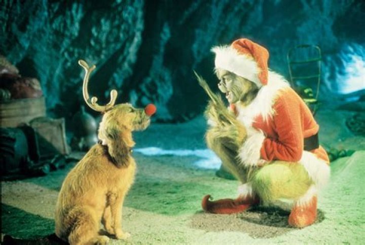 Why the grinch stole christmas?
