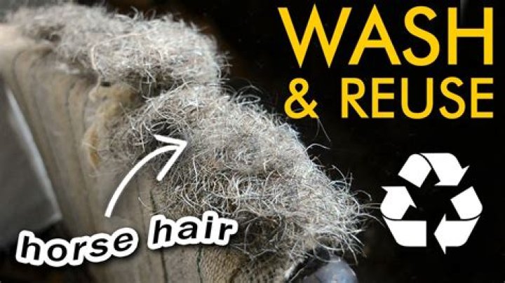 Why was horsehair used in upholstery?