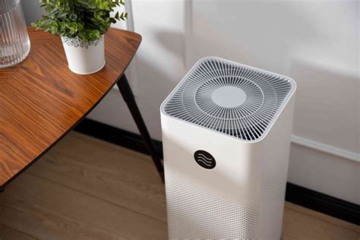 Will air purifier help with molds?