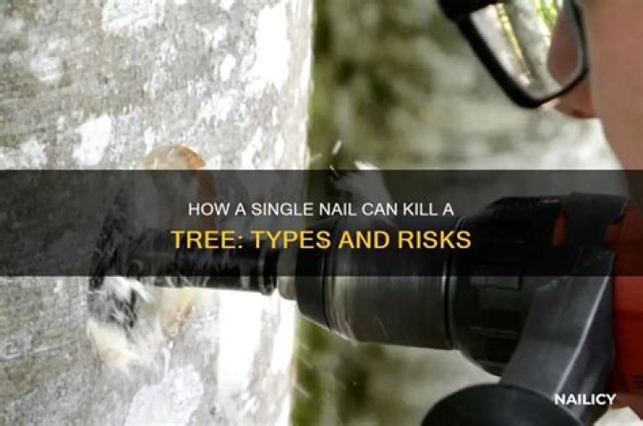 Will an iron nail kill a tree?