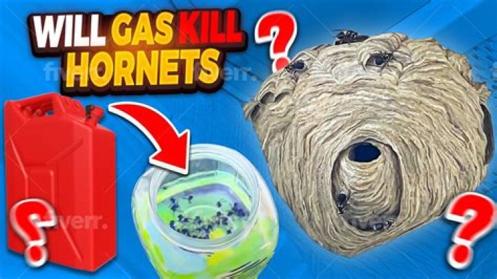 Will bleach kill ground hornets?
