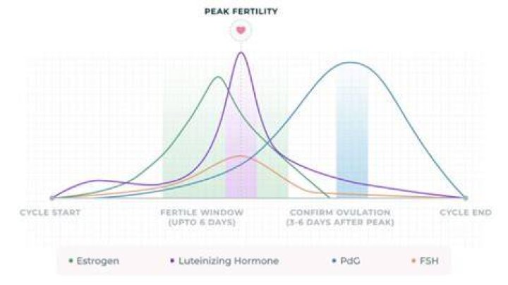 Will brazilian ipl affect fertility?
