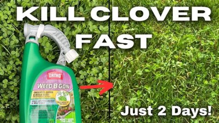 Will butyrac 200 kill clover?