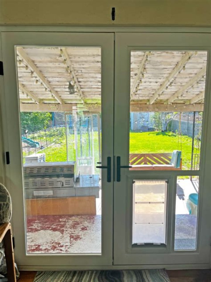 Will chickens go through a doggie door?