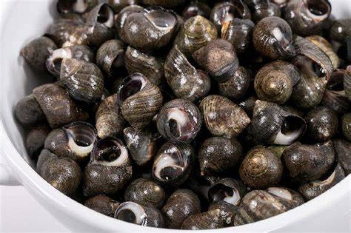 Will deer eat periwinkles?