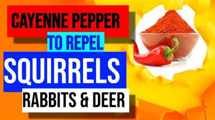 Will deer repellent keep squirrels away?