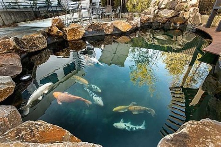 Will gypsum seal a pond?