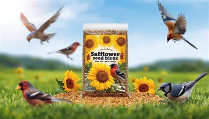 Will juncos eat safflower seed?