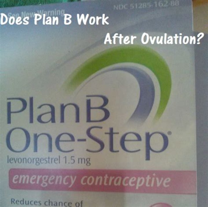 Will plan b work after ovulation?