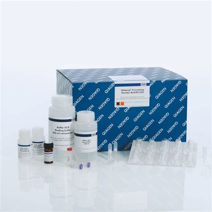 Will proteinase k degrade rnase?