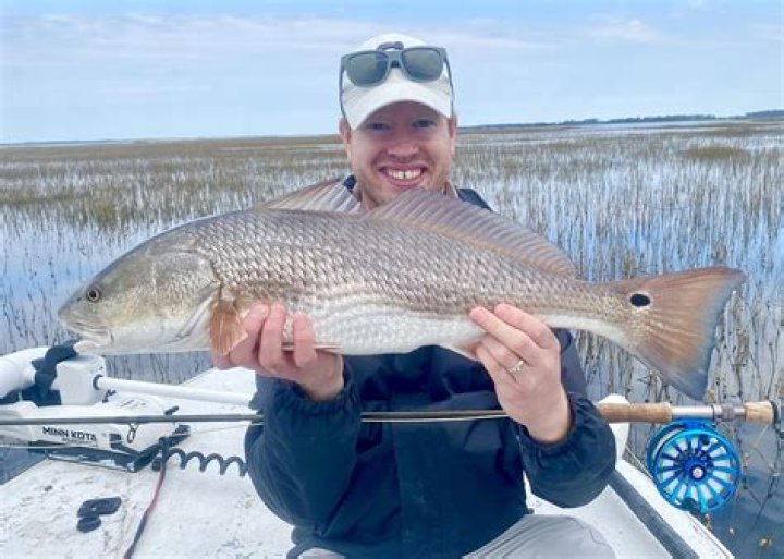 Will redfish eat worms?