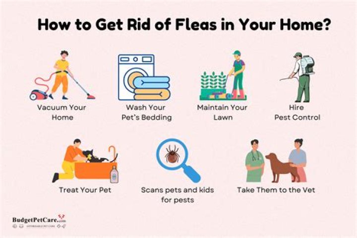 Will seresto kill fleas in the house?
