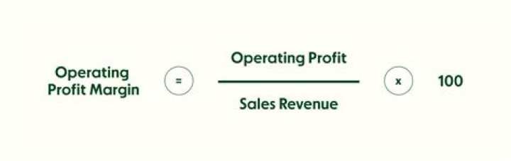 Would a small operating margin be a concern?